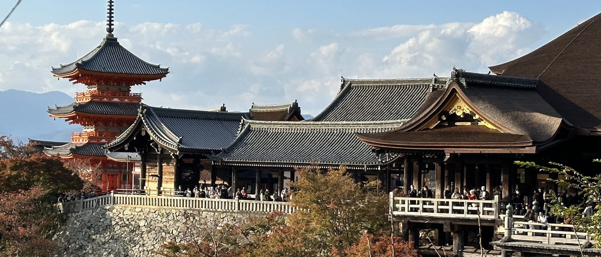 a pagoda over Kyoto temple rooflines
