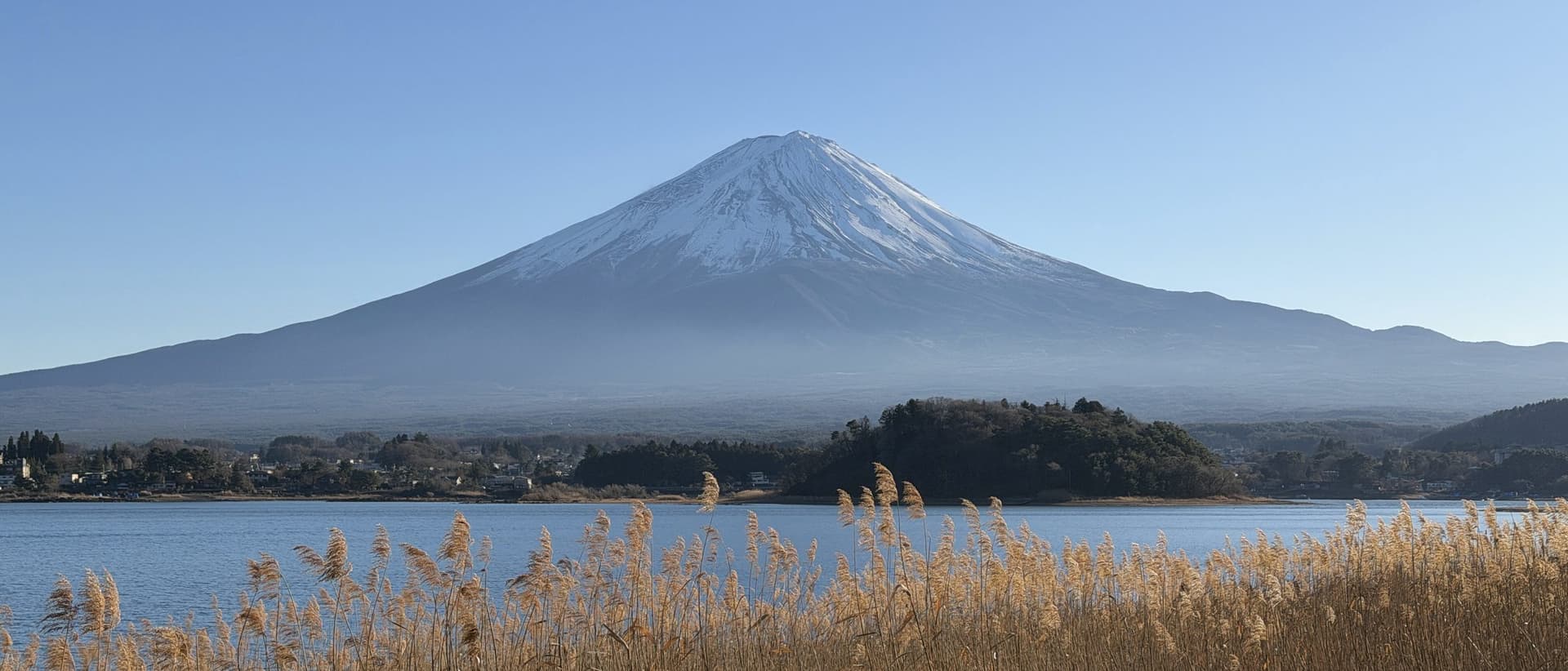 Mount Fuji across Lake Kawaguchi over golden reeds