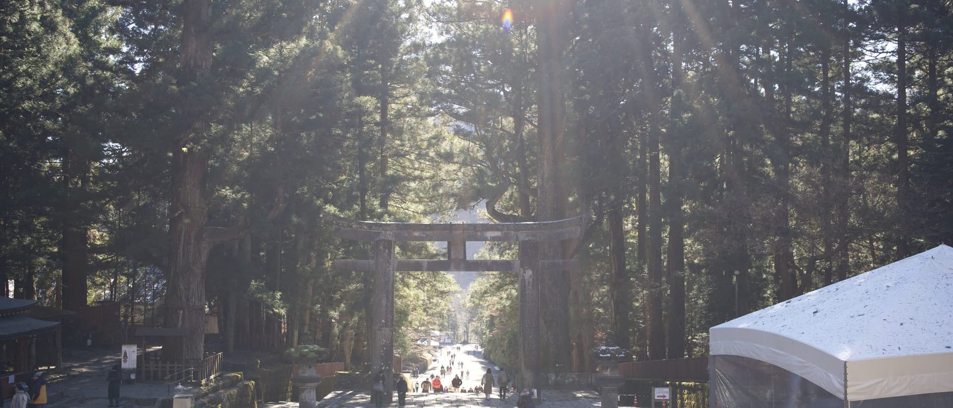 the cedar avenue at Nikko with sun through the trunks