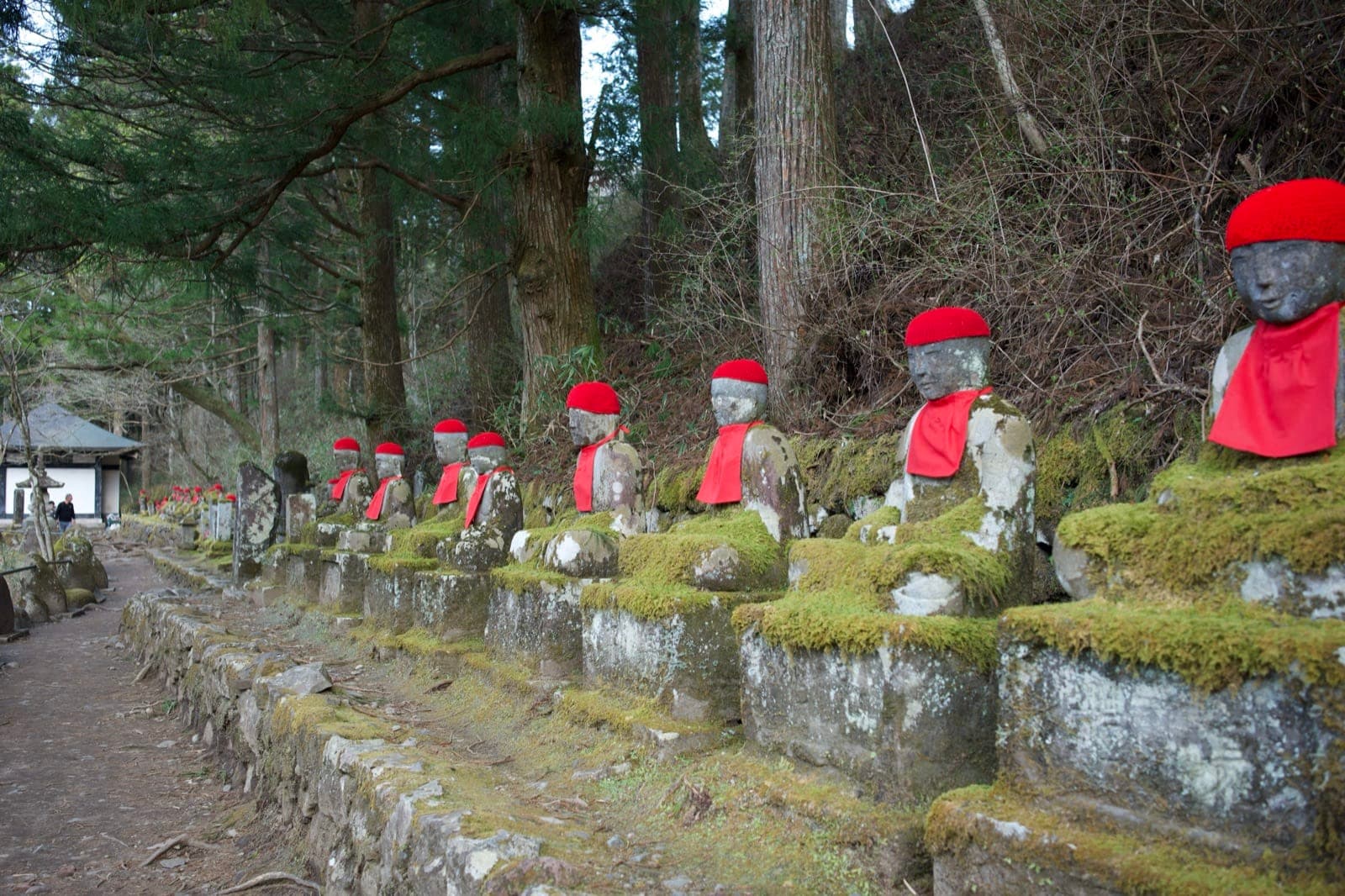 a receding row of moss-covered Jizo statues in red knitted caps and bibs, cedars behind