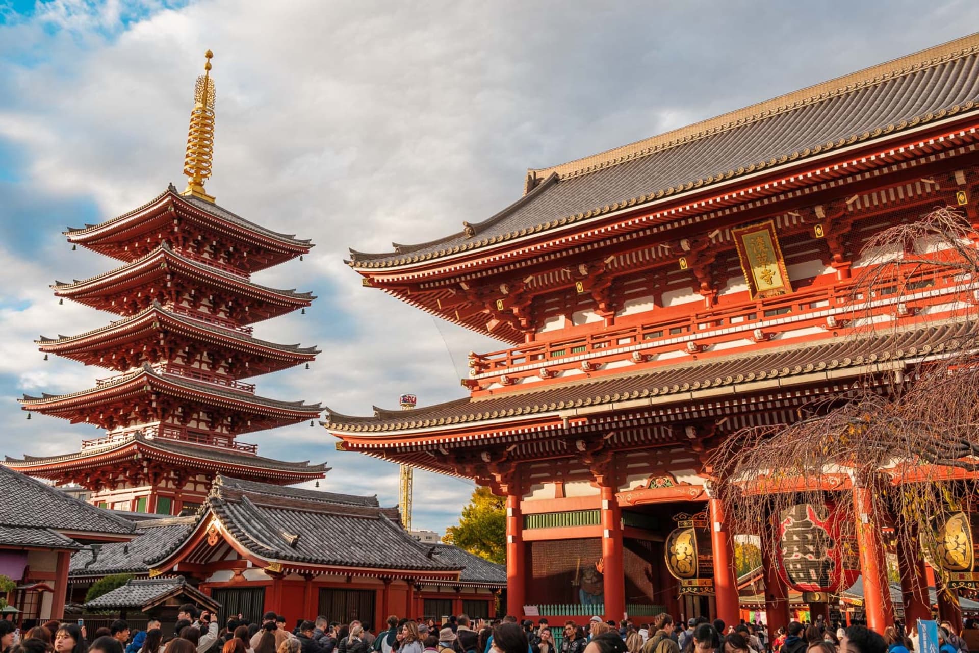 Senso-ji's pagoda and great gate in golden light